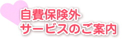 自費保険外サービスのご案内